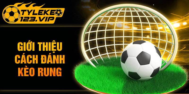 Cách đánh kèo rung từ cao thủ chuyên nghiệp