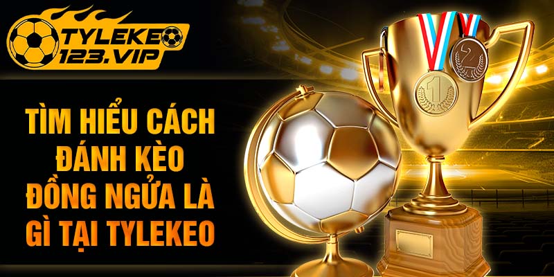 TÌm hiểu cách đánh kèo đồng nửa là gì tại Tỷ Lệ Kèo