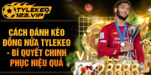 Cách Đánh Kèo Đồng Nửa - Bí Quyết Chinh Phục Tỷ Lệ Kèo