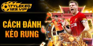 Cách Đánh Kèo Rung Chắc Thắng Cùng Tỷ Lệ Kèo Chia Sẻ