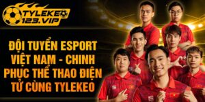 Cùng Đội Tuyển Esport Việt Nam Chinh Phục Thể Thao Điện Tử