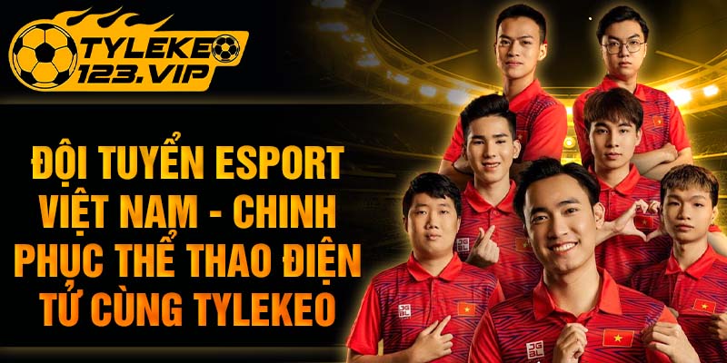 Cùng Đội Tuyển Esport Việt Nam Chinh Phục Thể Thao Điện Tử