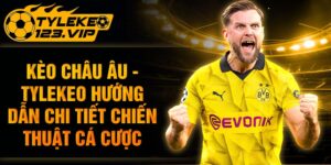 Kèo Châu Âu - Tỷ Lệ Kèo Hướng Dẫn Chiến Thuật Cá Cược