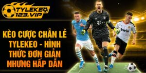 Kèo Cược Chẵn Lẻ Tỷ Lệ Kèo - Hình Thức Đơn Giản Hấp Dẫn