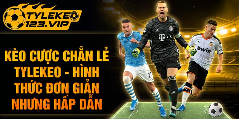 Kèo Cược Chẵn Lẻ Tỷ Lệ Kèo - Hình Thức Đơn Giản Hấp Dẫn