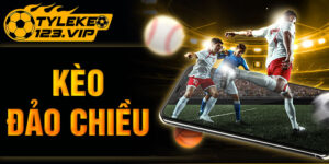 Kèo đảo chiều là hình thức cược phụ nhưng luôn có sức hút đặc biệt. Cập nhật tin tức từ chuyên gia Tỷ Lệ Kèo giúp bạn biết cách nhận định chuẩn Chỉnh sửa đoạn trích Từ khóa chínhChèn các từ khóa bạn muốn xếp hạng. Cố gắng đạt 100/100 điểm để có cơ hội xếp hạng tốt hơn. 87 / 100 Lưu ý cảnh báo Đọc ở đây để Đạt điểm 100/100 Bài viết này là nội dung cốt lõi SEO cơ bản Tất cả đều tốt Tuyệt vời! Bạn đang sử dụng từ khoá chính trong Tiêu đề SEO. Đã sử dụng từ khoá chính trong Mô tả Meta SEO. Từ khóa chính đã được sử dụng trong URL. Từ khoá chính xuất hiện trong 10% nội dung đầu tiên. Đã tìm thấy từ khoá chính trong nội dung. Nội dung dài 1082 từ. Làm tốt lắm! Bổ sung 2 Lỗi Khả năng đọc tiêu đề 1 Lỗi Khả năng đọc nội dung Tất cả đều tốt Di chuyển lênDi chuyển xuốngChuyển đổi bảng điều khiển: Mục lục Tắt tính năng tự động chèn mục lục. Nhãn tiêu đề Ví dụ: Nội dung, Mục lục, Nội dung trang Vị trí Chọn vị trí Chọn nơi bạn muốn hiển thị mục lục. Giao diện: GHI CHÚ: Sử dụng các tùy chọn giao diện bên dưới sẽ ghi đè lên các cài đặt Giao diện toàn cầu. Căn chỉnh Không có (Mặc định) Nâng cao: GHI CHÚ: Sử dụng các tùy chọn nâng cao bên dưới sẽ ghi đè cài đặt nâng cao chung. Đề mục Tiêu đề mục 1 (h1) Tiêu đề mục 2 (h2) Tiêu đề mục 3 (h3) Tiêu đề mục 4 (h4) Tiêu đề mục 5 (h5) Tiêu đề mục 6 (h6) Chọn tiêu đề cần xem xét khi tạo mục lục. Bỏ chọn một tiêu đề sẽ loại trừ nó. Lượt xem ban đầu Ẩn mục lục ban đầu. Ẩn bộ đếm Không hiển thị bộ đếm cho mục lục. Tiêu đề thay thế Chỉ định chuỗi tiêu đề mục lục thay thế. Thêm tiêu đề cần thay thế và tiêu đề thay thế trên một dòng được phân tách bằng dấu ngoặc kép |. Đặt từng tiêu đề gốc và tiêu đề thay thế bổ sung trên dòng riêng của nó. Ví dụ: Level [1.1]|Alternate TOC Header Thay thế mức [1.1] trong mục lục bằng đầu trang TOC Thay thế. Lưu ý:Điều này phân biệt chữ hoa chữ thường. Loại trừ các tiêu đề Chỉ định các tiêu đề cần loại trừ khỏi việc xuất hiện trong mục lục bài viết. Phân tách nhiều tiêu đề bằng dấu gạch đứng |. Sử dụng dấu hoa thị * như một ký tự đại diện để khớp với các văn bản khác. Ví dụ: Fruit*Bỏ qua các tiêu đề bắt đầu bằng "Fruit" *Fruit Diet*Bỏ qua các tiêu đề có chứa "Fruit Diet" ở đâu đó trong tiêu đề. Apple Tree|Oranges|Yellow BananasBỏ qua các tiêu đề chính xác là "Apple Tree", "Oranges" hoặc "Yellow Bananas" Lưu ý: Điều này không phân biệt chữ hoa chữ thường.