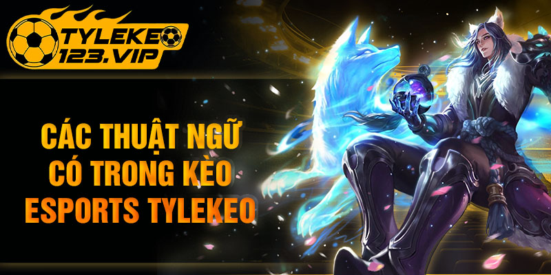 Các thuật ngữ có trong kèo esports