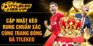 Cập nhật kèo rung chuẩn xác cùng trang web tỷ lệ kèo