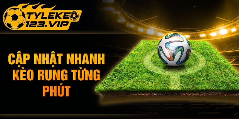 Cập nhật nhanh kèo rung từng phút