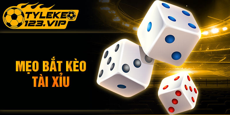 Mẹo bắt kèo Tài Xỉu bất bại từ chuyên gia