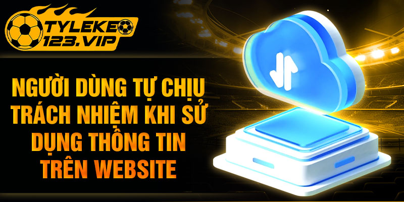 Người dùng tự chịu trách nhiệm khi sử dụng thông tin trên website.